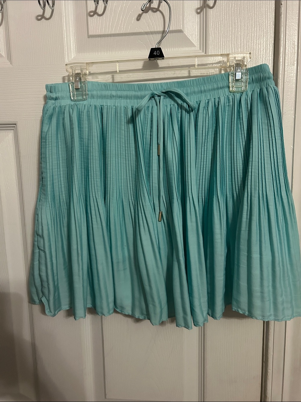 Mustard Seed Aqua Pleated Mini Skirt